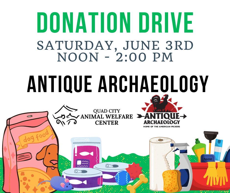 Antique archaeology donation drive
